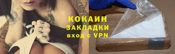 ГАЛЛЮЦИНОГЕННЫЕ ГРИБЫ Арсеньев