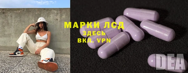 ГАЛЛЮЦИНОГЕННЫЕ ГРИБЫ Арсеньев