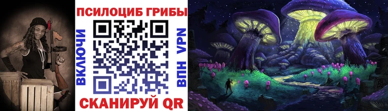 где продают наркотики  Мытищи  ссылка на мегу ССЫЛКА  Галлюциногенные грибы Cubensis 